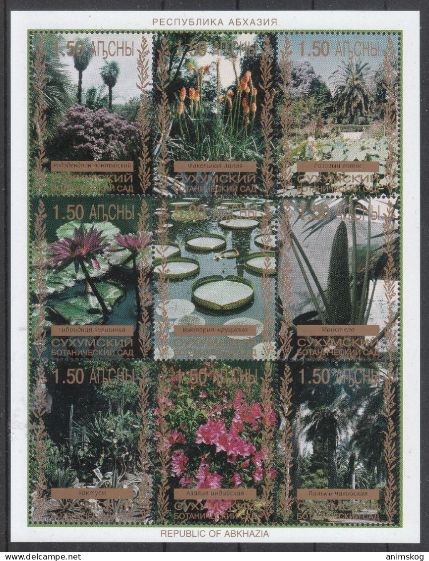 Abchasien 1999**, Bot. Garten Suchumi, Kakteen / Abkhazia 1999, MNH, Bot. Garden Suchumi, Cacti - Sukkulenten