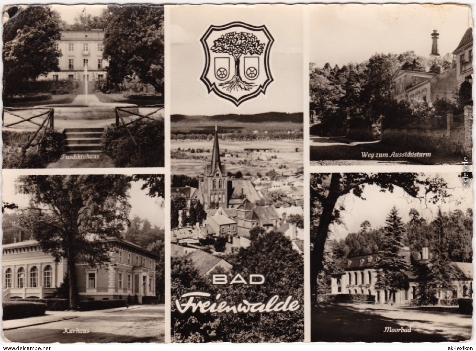 Bad Freienwalde Puschkinhaus, Blick Auf Den Dom Aussichtstrum, Kurhaus  1964 - Bad Freienwalde