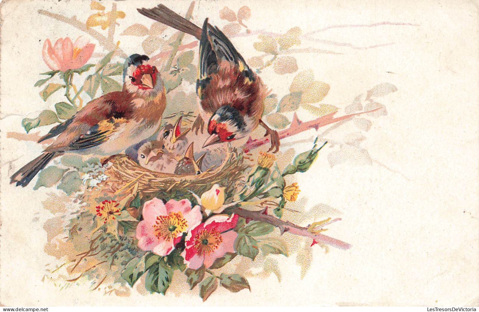 ANIMAUX & FAUNE - Oiseaux - Oiseau Nourrissant Ses Petits - Fleurs - Dessin- Carte Postale Ancienne - Vogels