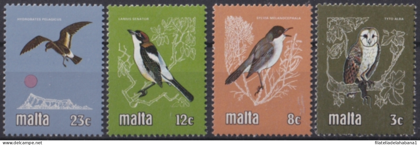 F-EX47947 MALTA MNH 1981 BIRD AVES PAJAROS OISEAUX OWL.  - Verzamelingen, Voorwerpen & Reeksen