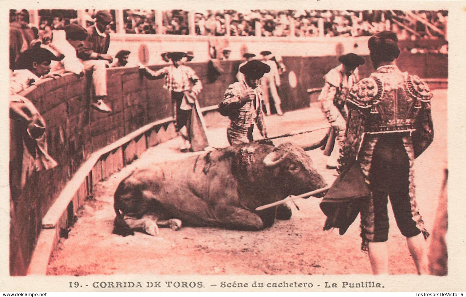 ESPAGNE - Corrida De Toros - Scène Du Cachetero - La Puntilla - Carte Postale Ancienne - Autres & Non Classés