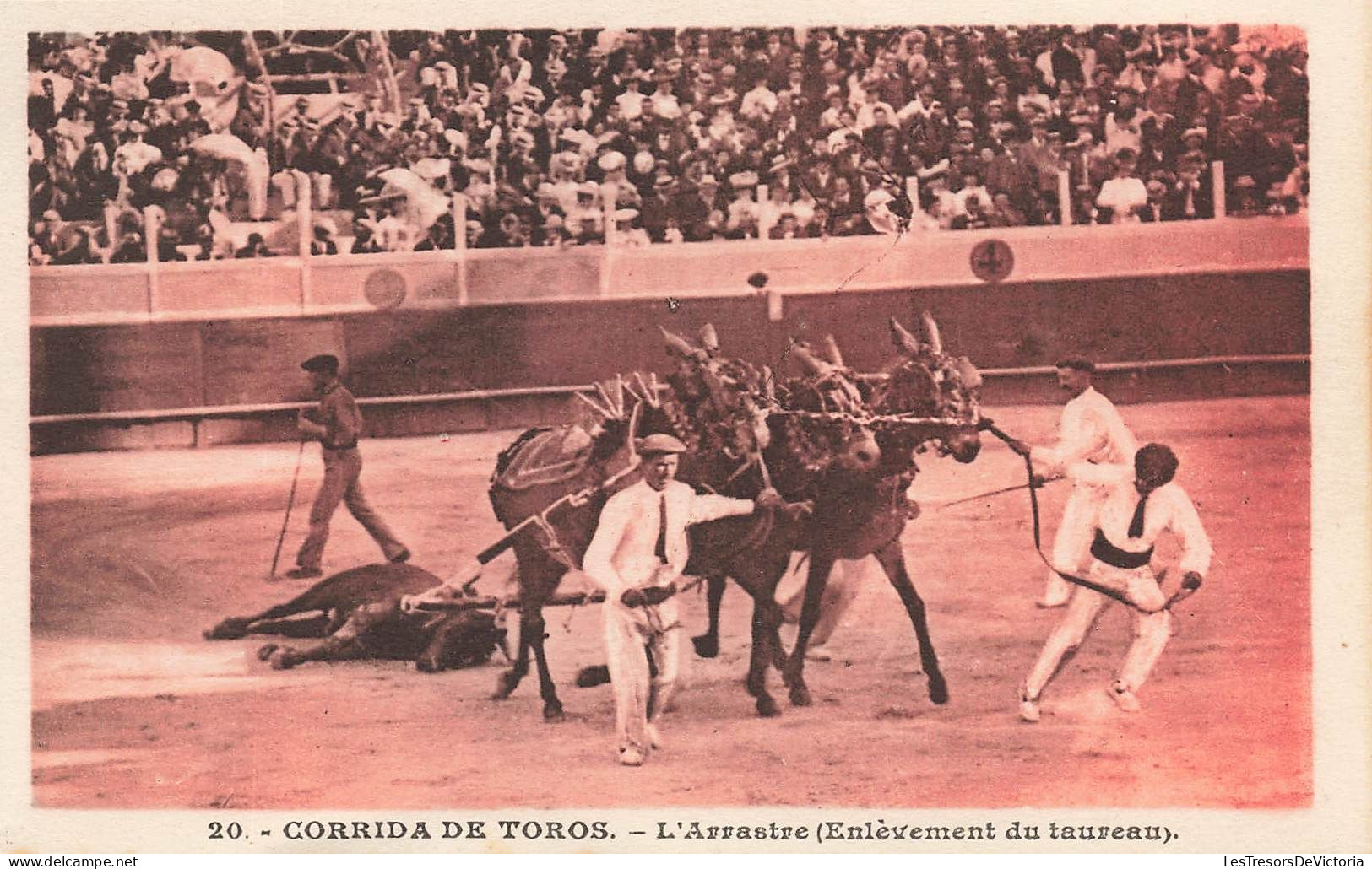 ESPAGNE - Corrida De Toros - L'Arrastre ( Enlèvement Du Taureau) - Carte Postale Ancienne - Other & Unclassified