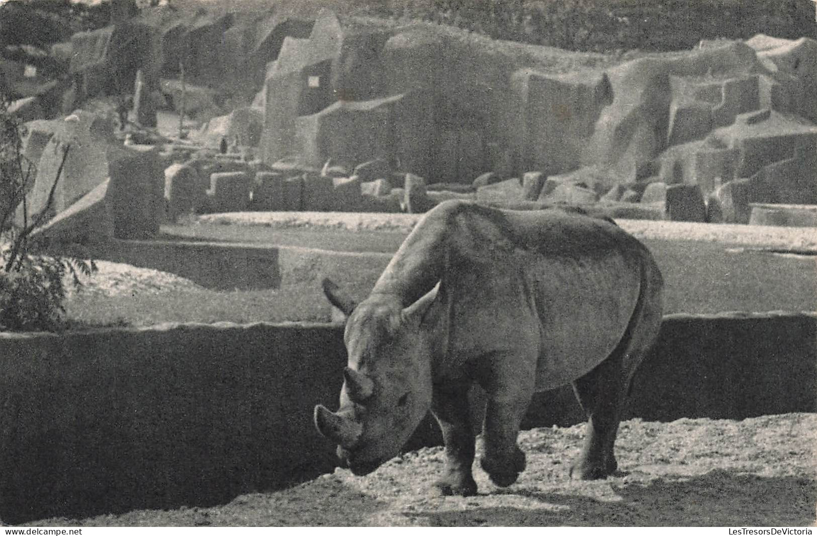 FRANCE - Paris - Parc Zoologique Du Bois De Vincennes - Le Rhinocéros D'Afrique - Carte Postale Ancienne - Parcs, Jardins