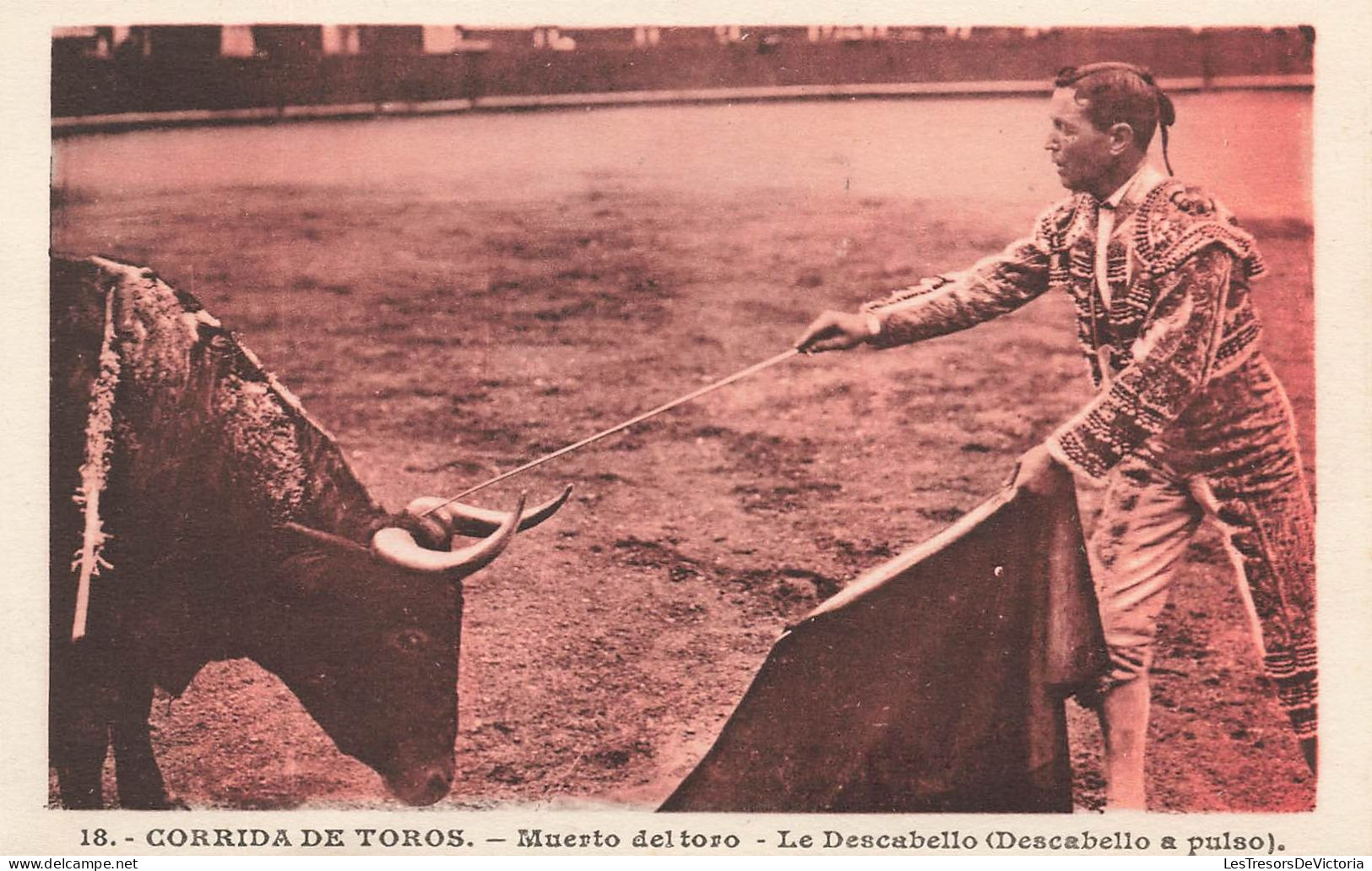 ESPAGNE - Muerto Del Toro - Le Descabello (Descabello A Pulso) - Carte Postale Ancienne - Other & Unclassified