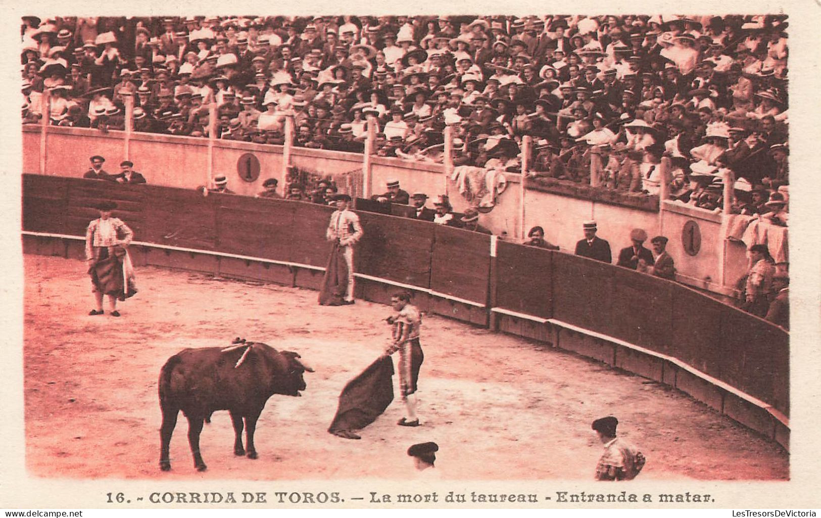 ESPAGNE - Corrida De Toros - La Mort Du Taureau - Entranda A Matar - Carte Postale Ancienne - Autres & Non Classés