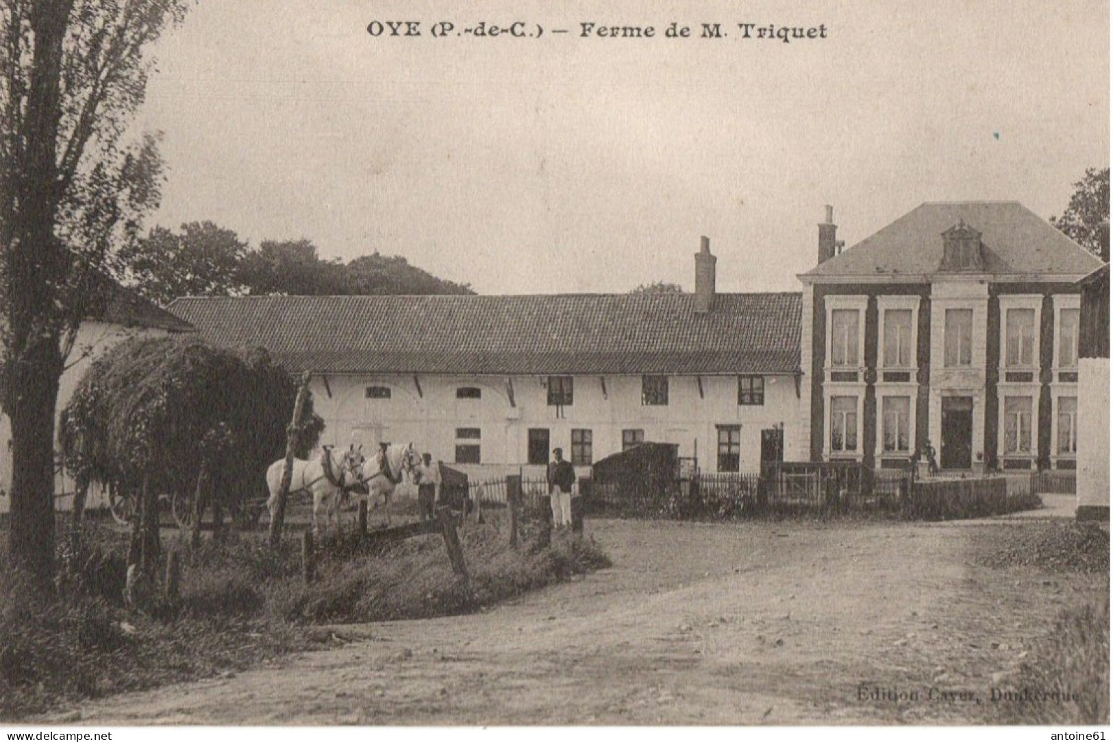 OYE - Ferme De M. TRIQUET (attelage Chevaux) - Oye Plage