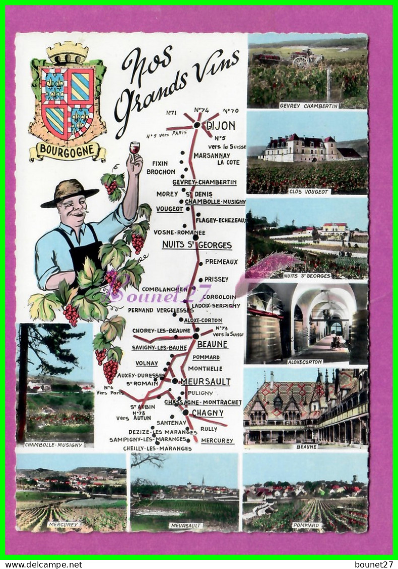 CPM LES VINS DE BOURGOGNE - Carte Plan De La Route Gevrey Clos Vougeot  Nuit St Geoges Aloxe Corton Vignoble Vigne - Bourgogne