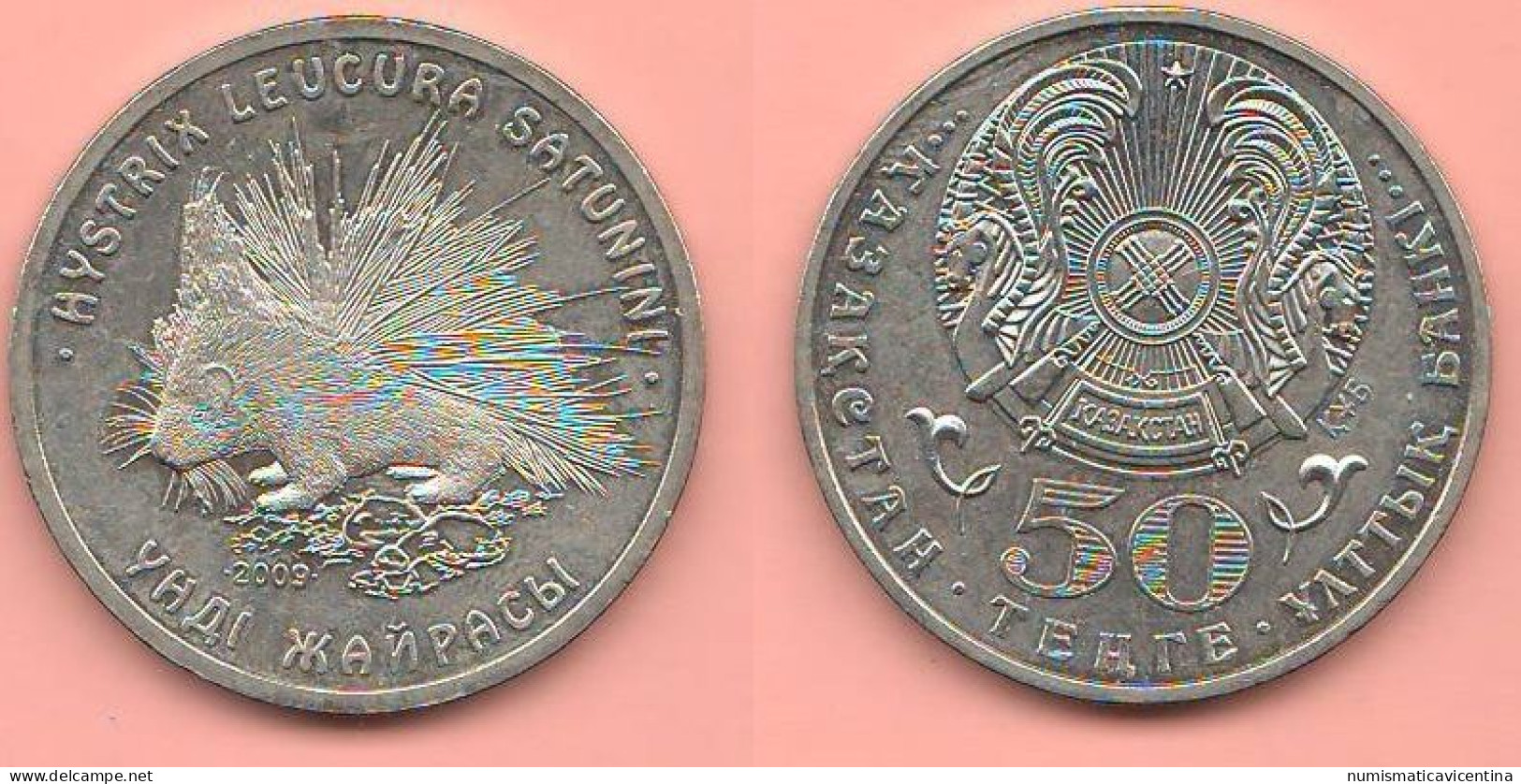 Kazakistan 50 Tenge 2009 Istrice Porcupine Porc-épic Animals Alpaca Coin  ∇ 5 - Kasachstan