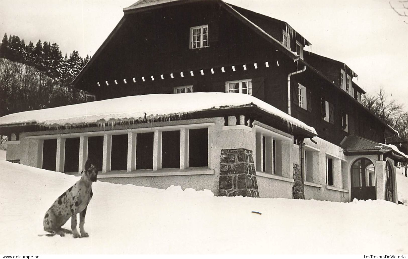 FRANCE - La Féclaz En Hiver - L'Hôtel Du Coin Du Feu - L Tissay Propriétaire - Carte Postale - Other & Unclassified