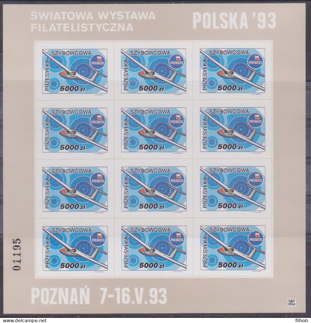 Poland Label - Glider 1993 (F034): Philatelic Exhibition Polska 93 (sheet) - Gleitflieger