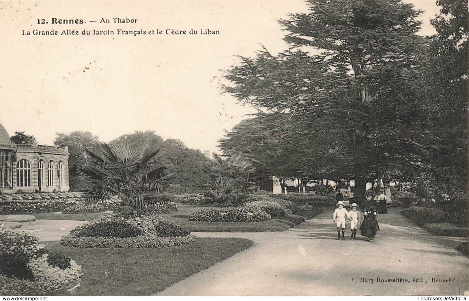 FRANCE - Rennes - Au Thabor - La Grande Allée Du Jardin Français Et Le Cèdre Du Liban - Carte Postale Ancienne - Rennes