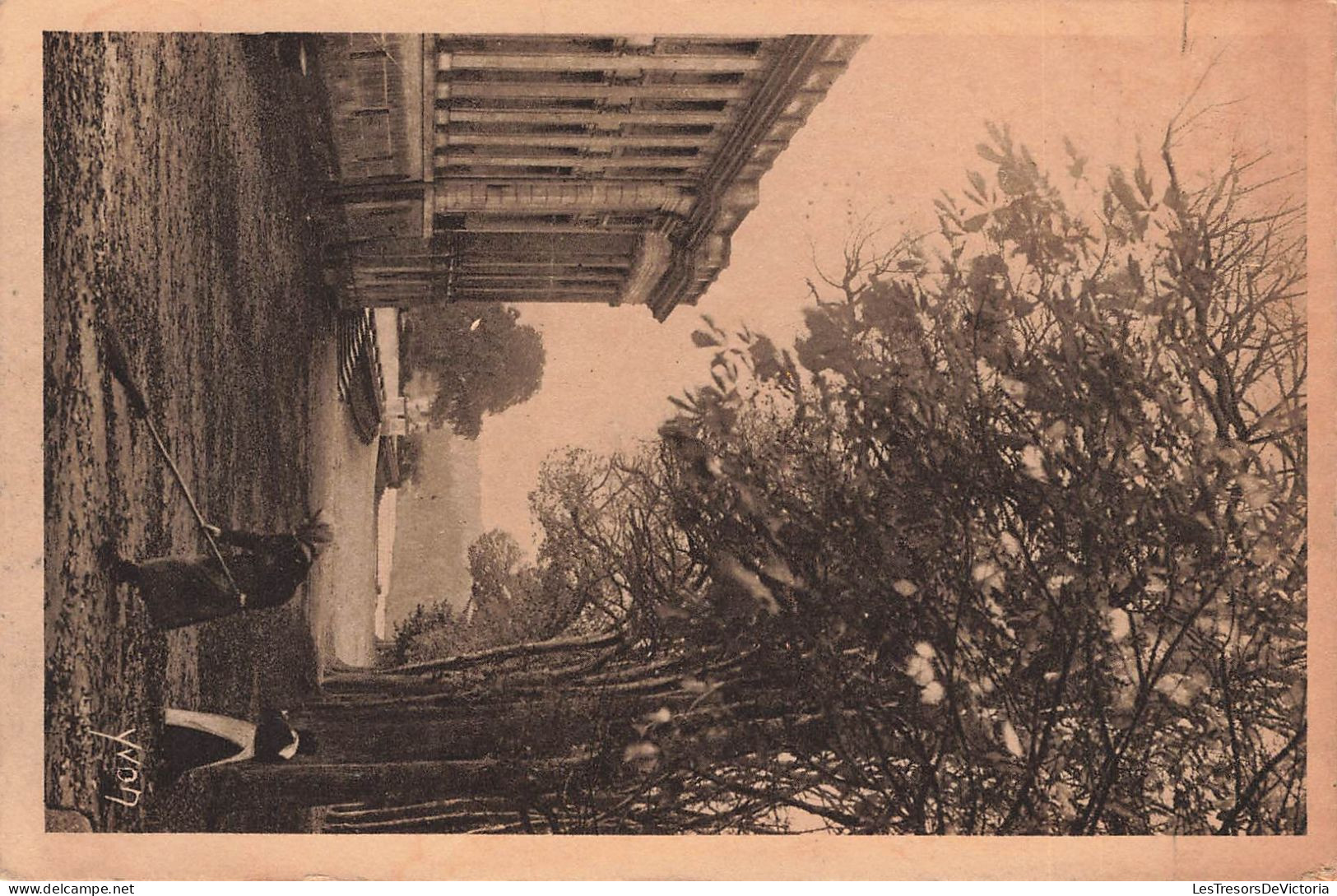 FRANCE - Vue Générale Sur Les Allées Du Petit Trianon - Carte Postale Ancienne - Versailles (Castillo)