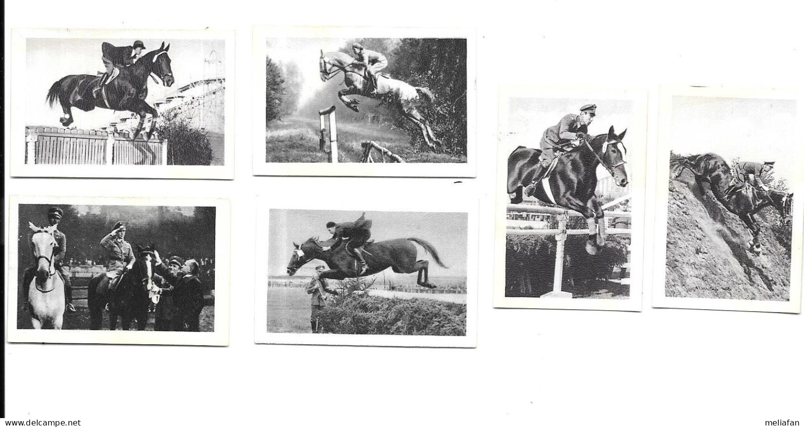 DA24 - IMAGES BULGARIA - HIPPISME - JUMPING - Equitazione