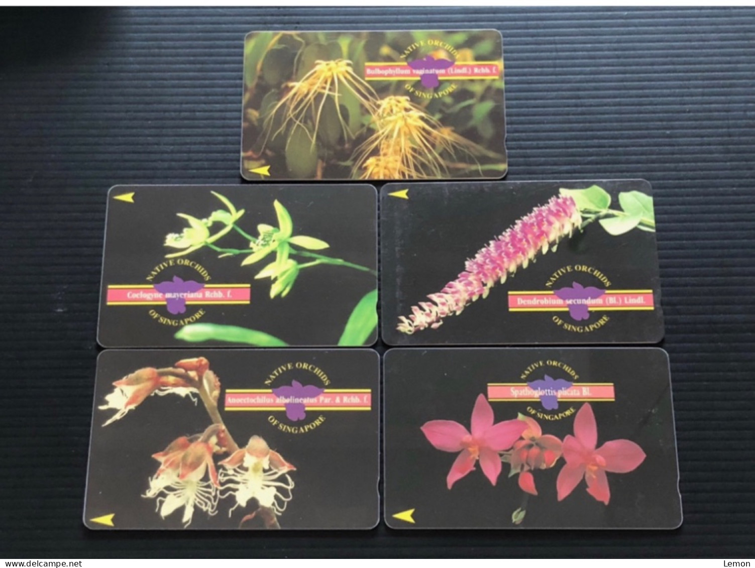 Singapore Telecom Singtel GPT Phonecard, Native Orchids Of Singapore, Set Of 5 Used Cards Including One $50 Card - Singapour