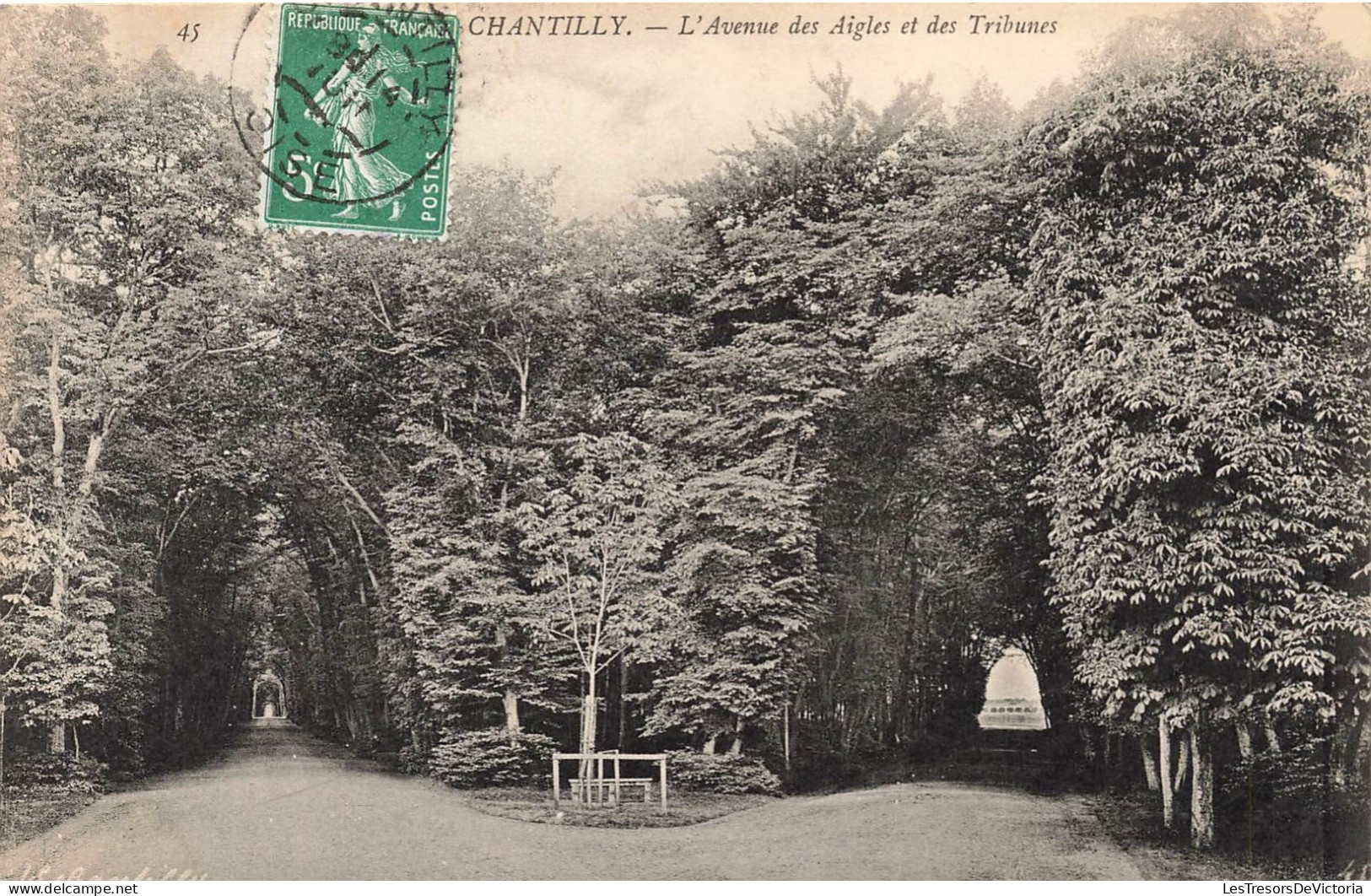 FRANCE - Chantilly - L'avenue Des Aigles Et Des Tribunes - Carte Postale Ancienne - Chantilly