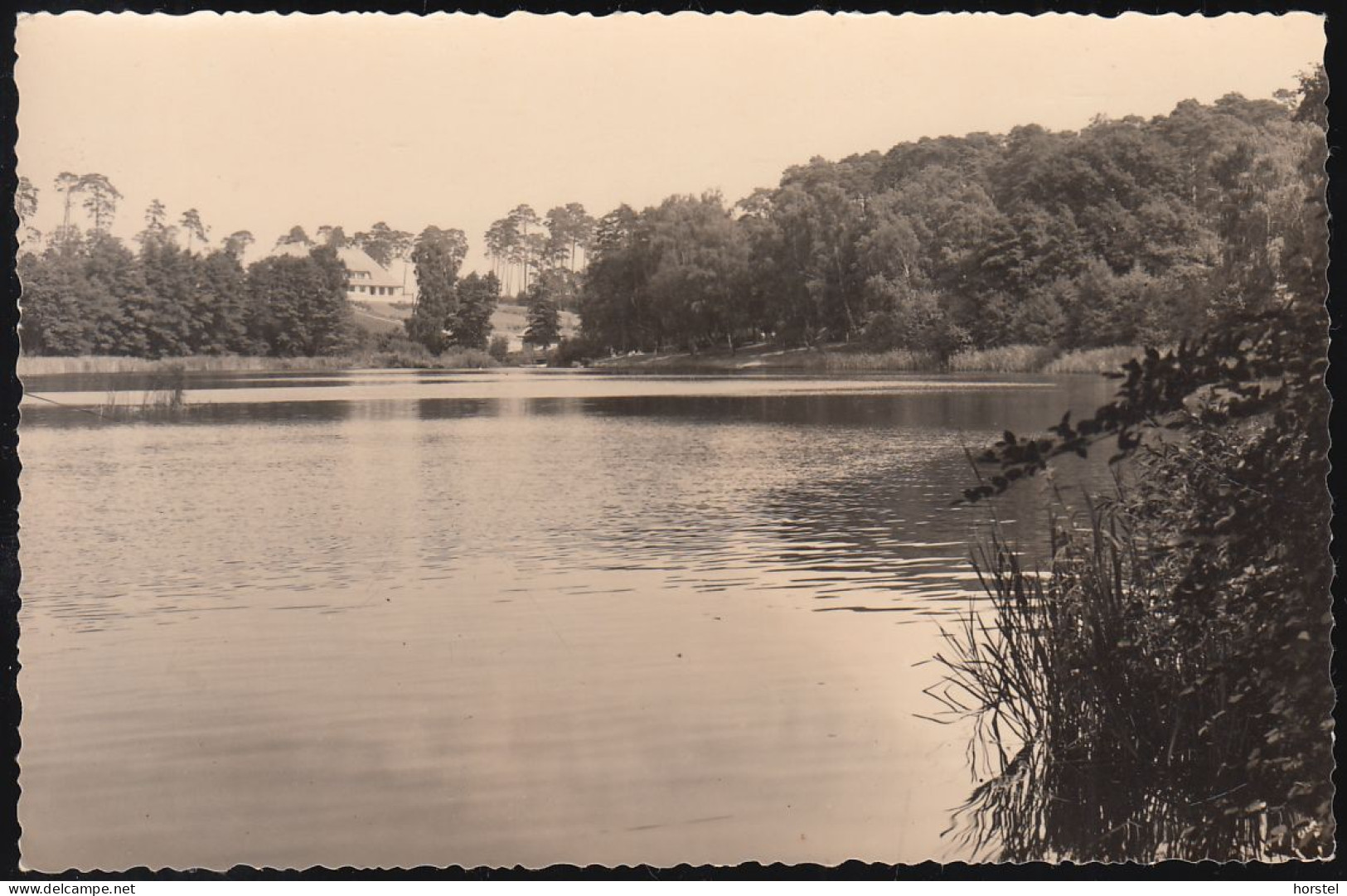 D-14163 Berlin - Krumme Lanke - Alte Ansicht ( Echt Foto) - Zehlendorf