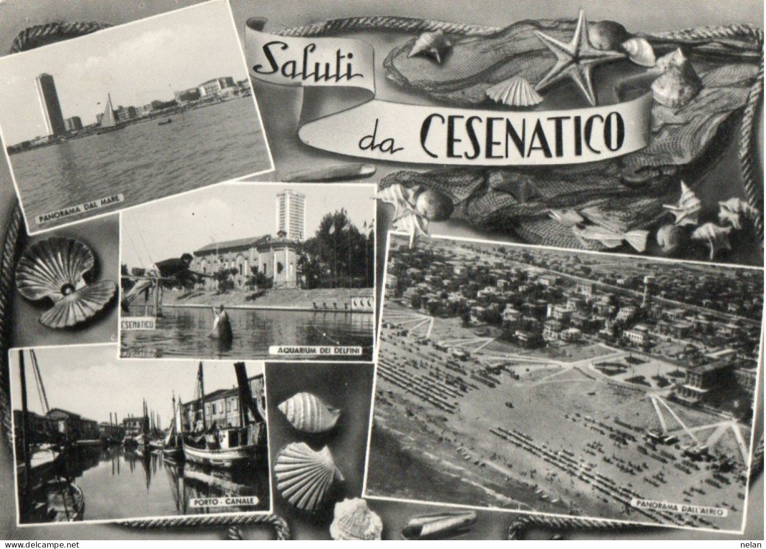 SALUTI DA CESENATICO - F.G. - Cesena