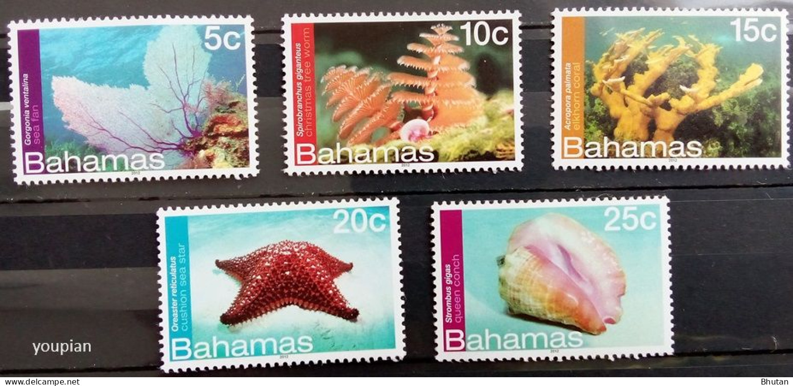 Bahamas 2012, Marine Fauna, MNH Stamps Set - Bahamas (1973-...)