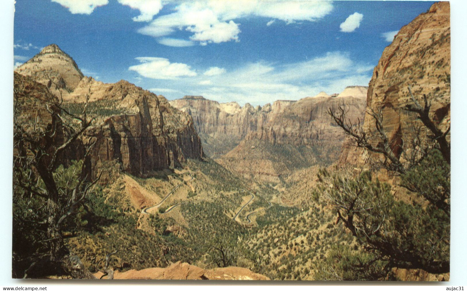 Etats-Unis - Utah - Zion National Park - Switchbacks From Great Arch Overlook - Bon état - Zion