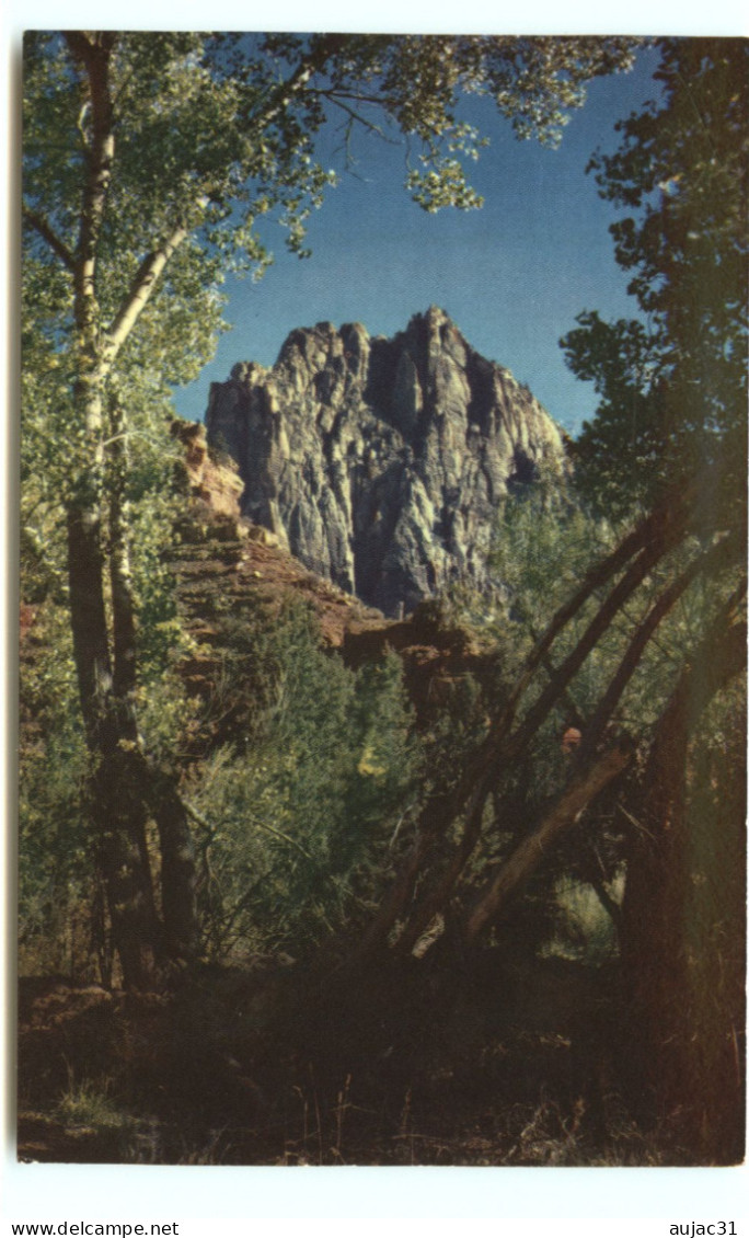 Etats-Unis - Utah - Zion National Park - The Watchman - Bon état - Zion