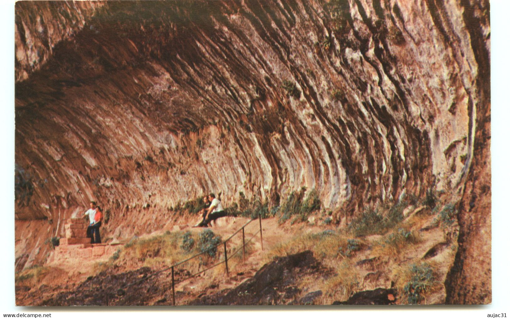 Etats-Unis - Utah - Zion National Park - Weeping Rock - Bon état - Zion