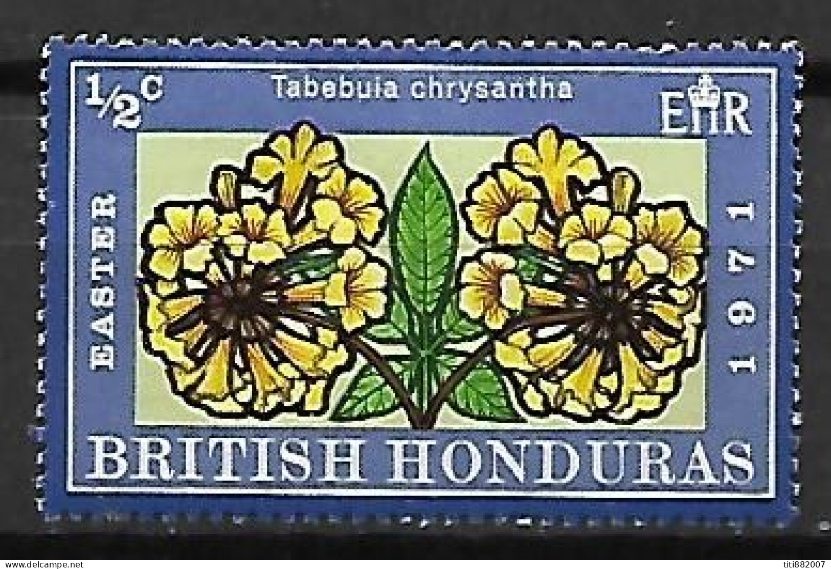 HONDURAS  BRITANIQUE       -     FLEURS   /    CHRYSANTHEMES      -     Neuf * - Britisch-Honduras (...-1970)