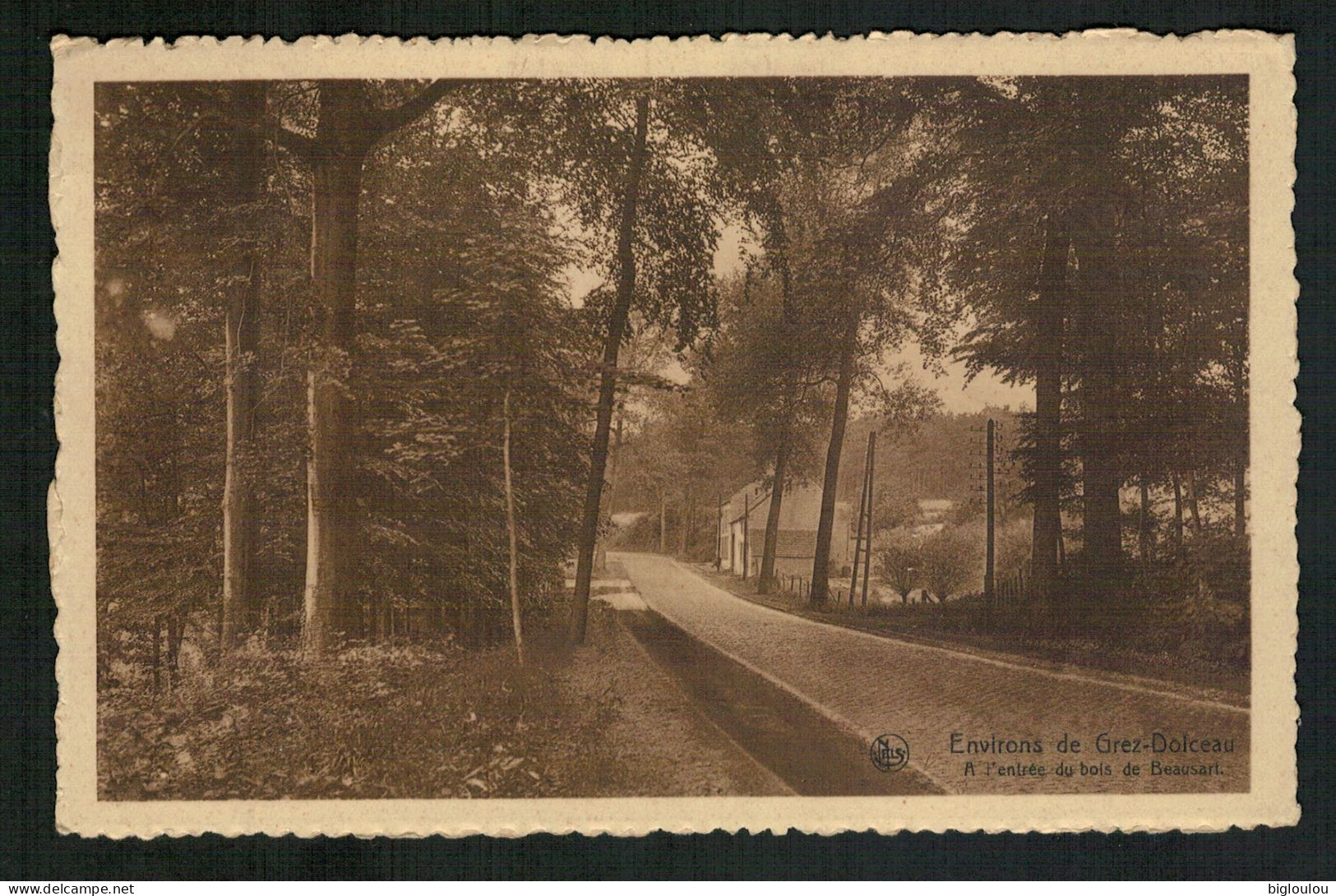 GREZ-DOICEAU  -  Route De Jodoigne - Entrée Du Bois De Beausart - Graven