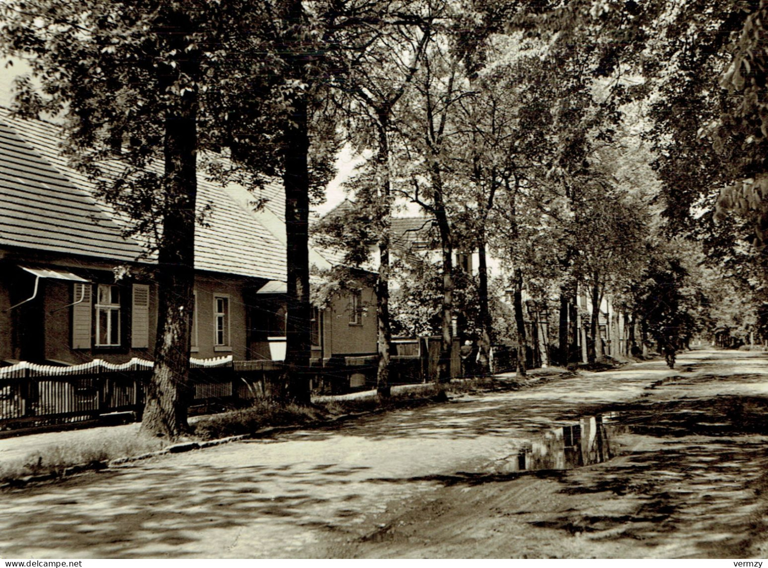 BLOSSIN : Dorfstrasse - Photo Véritable - Königs-Wusterhausen