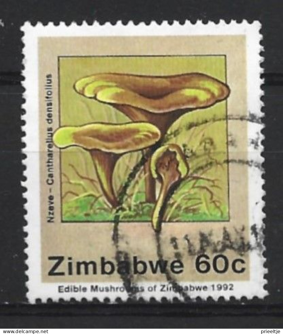 Zimbabwe 1992 Mushrooms Y.T. 253 (0) - Zimbabwe (1980-...)