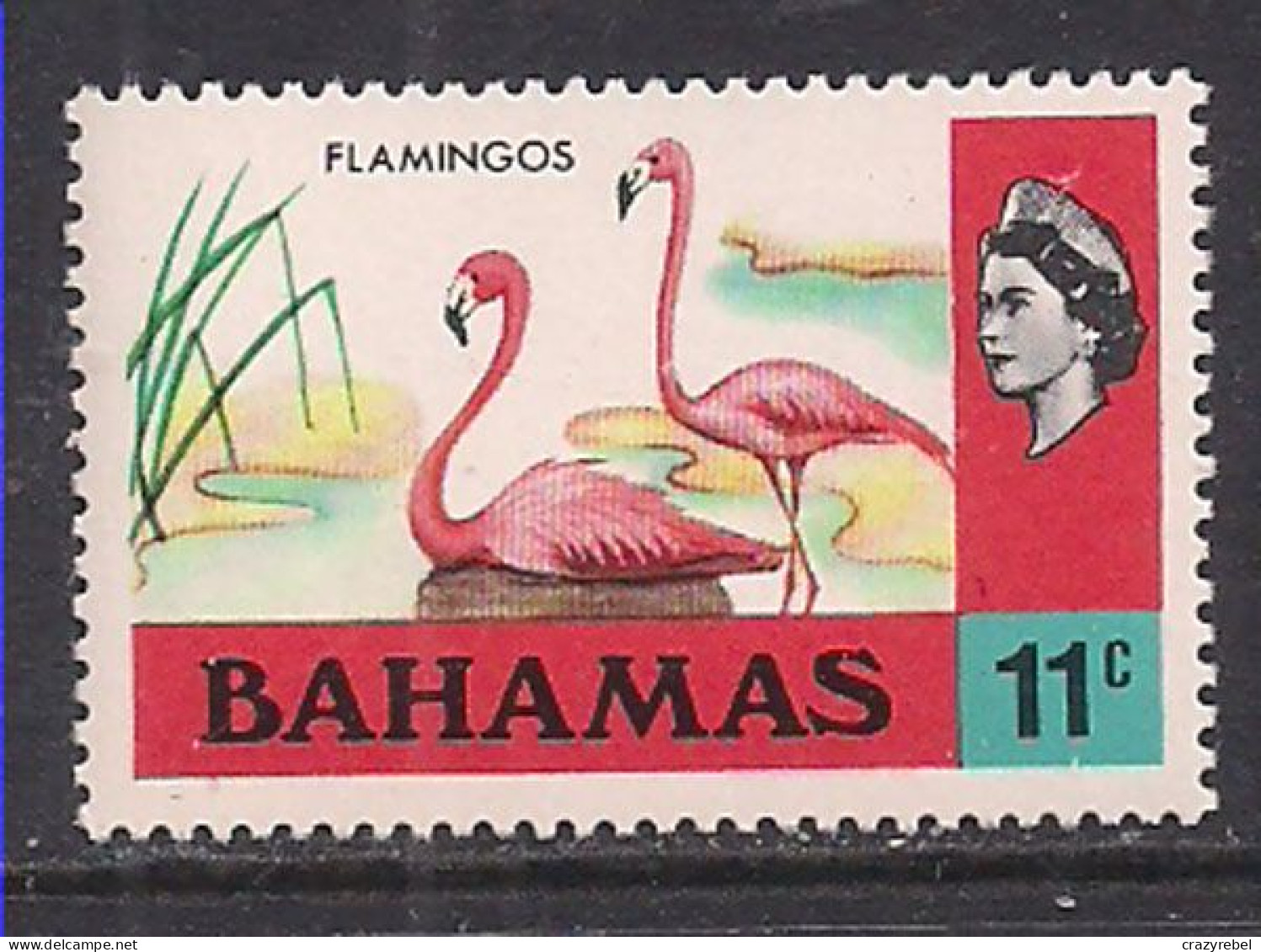 Bahamas 1971 QE2 11cents Birds SG 368 MNH ( H1037 ) - 1963-1973 Ministerial Government