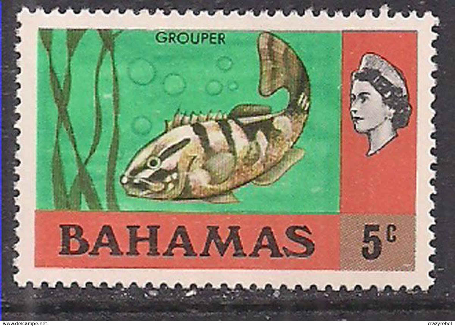 Bahamas 1971 QE2 5cents Fish  SG 363 MNH ( E388 ) - 1963-1973 Autonomia Interna