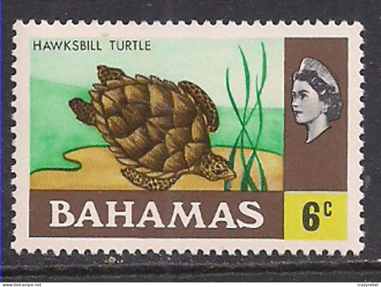 Bahamas 1971 QE2 6c  Turtle SG 364 MNH ( J713 ) - 1963-1973 Ministerial Government