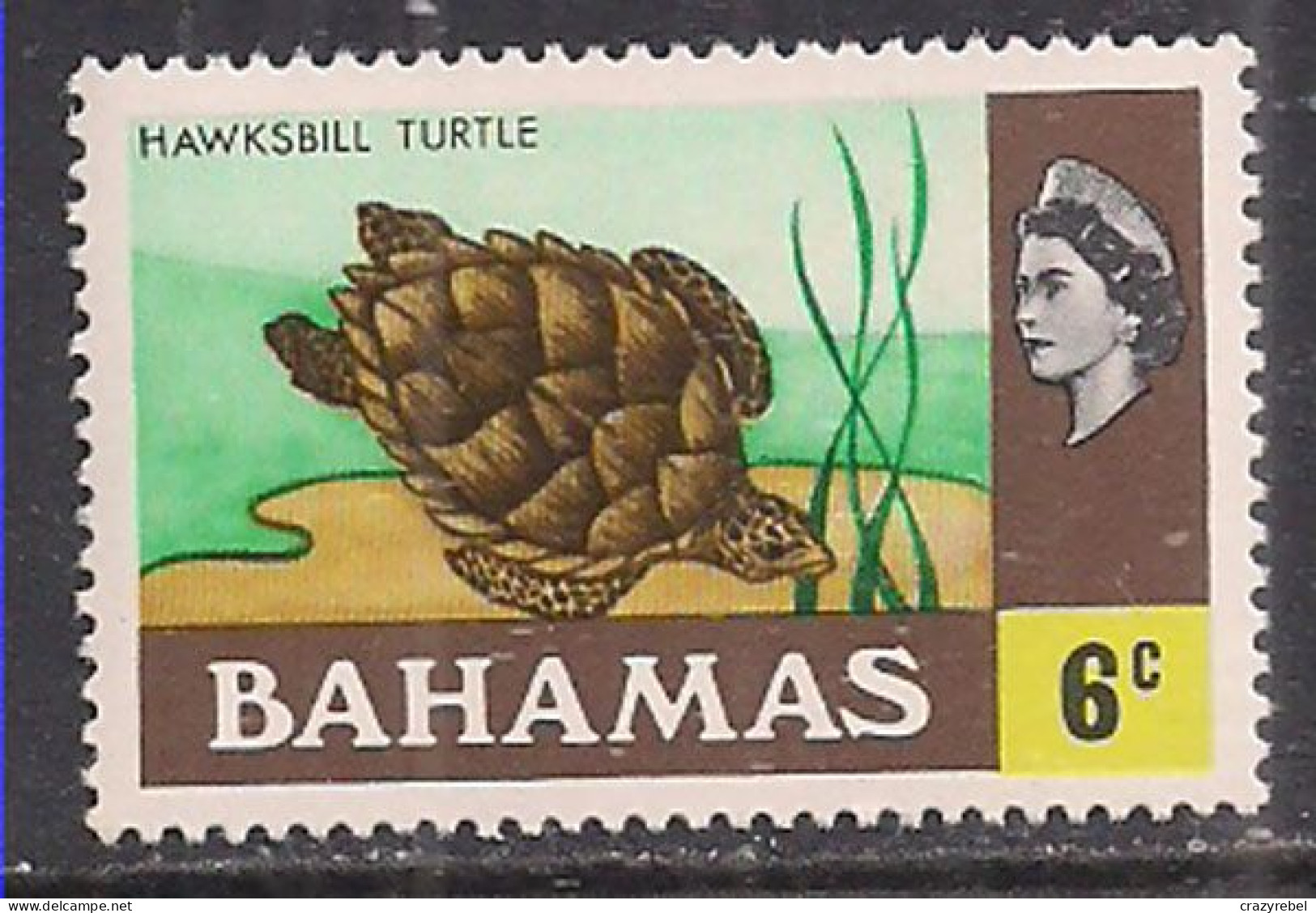 Bahamas 1971 QE2 6c  Turtle SG 364 MNH ( J801 ) - 1963-1973 Autonomie Interne