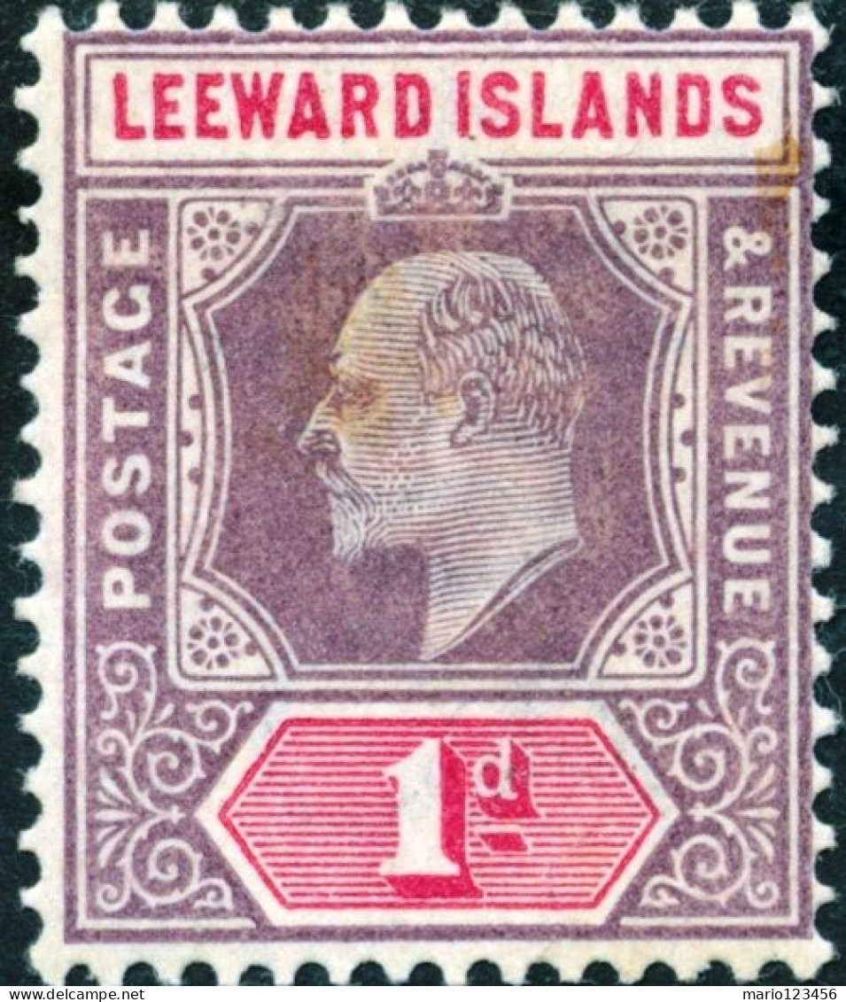 ISOLE LEEWARD, ISOLE SOTTOVENTO, RE EDOARDO VII, 1902, FRANCOBOLLI NUOVI (MNH**) Scott:GB-LW 21, Yt:GB-LW 21 - Leeward  Islands