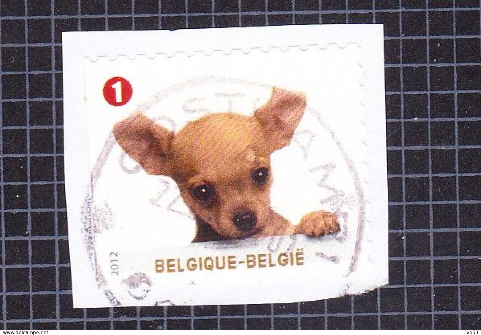 2012 Nr 4236 Gestempeld,zegel Uit Boekje B128.Gezelschapsdieren / Animaux De Compagnie. - Used Stamps
