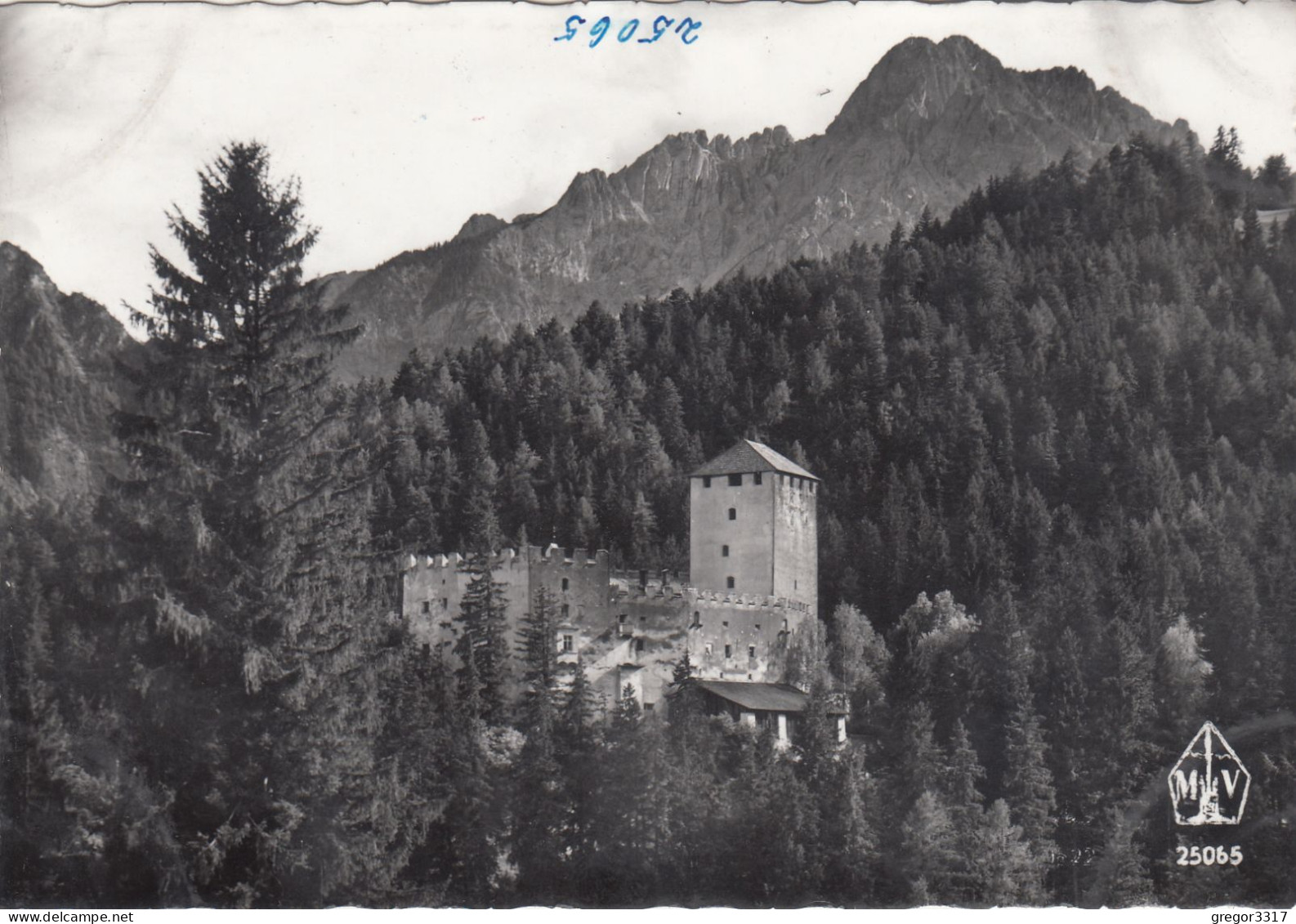 E3815) LIENZ - Osttirol -  Schloß BRUCK Gegen Spitzkofel - Alte S/W FOTO AK - Osttirol - Lienz