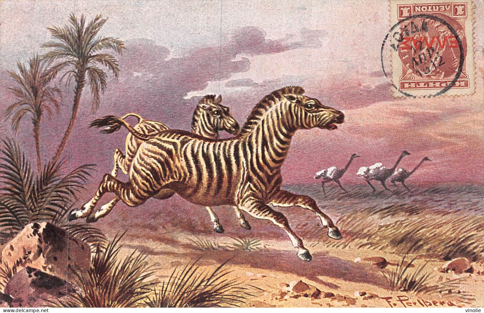 24-1681 : CARTE ILLUSTREE. ZEBRE - Zebra's