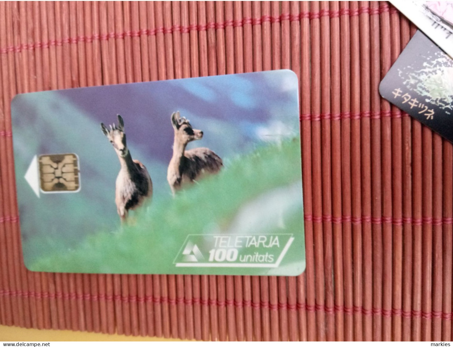 Animal Phonecard  Andorra UsedRare ! - Andorre