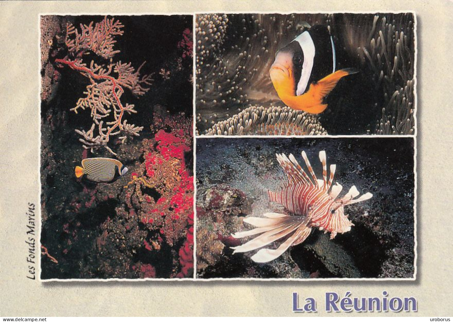 REUNION - Les Fonds Marins - Circulated 2003 - Reunión