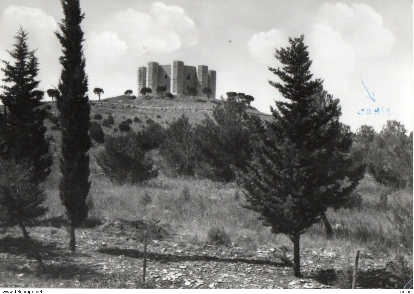 ANDRIA - CASTEL DEL MONTE - FG - Andria