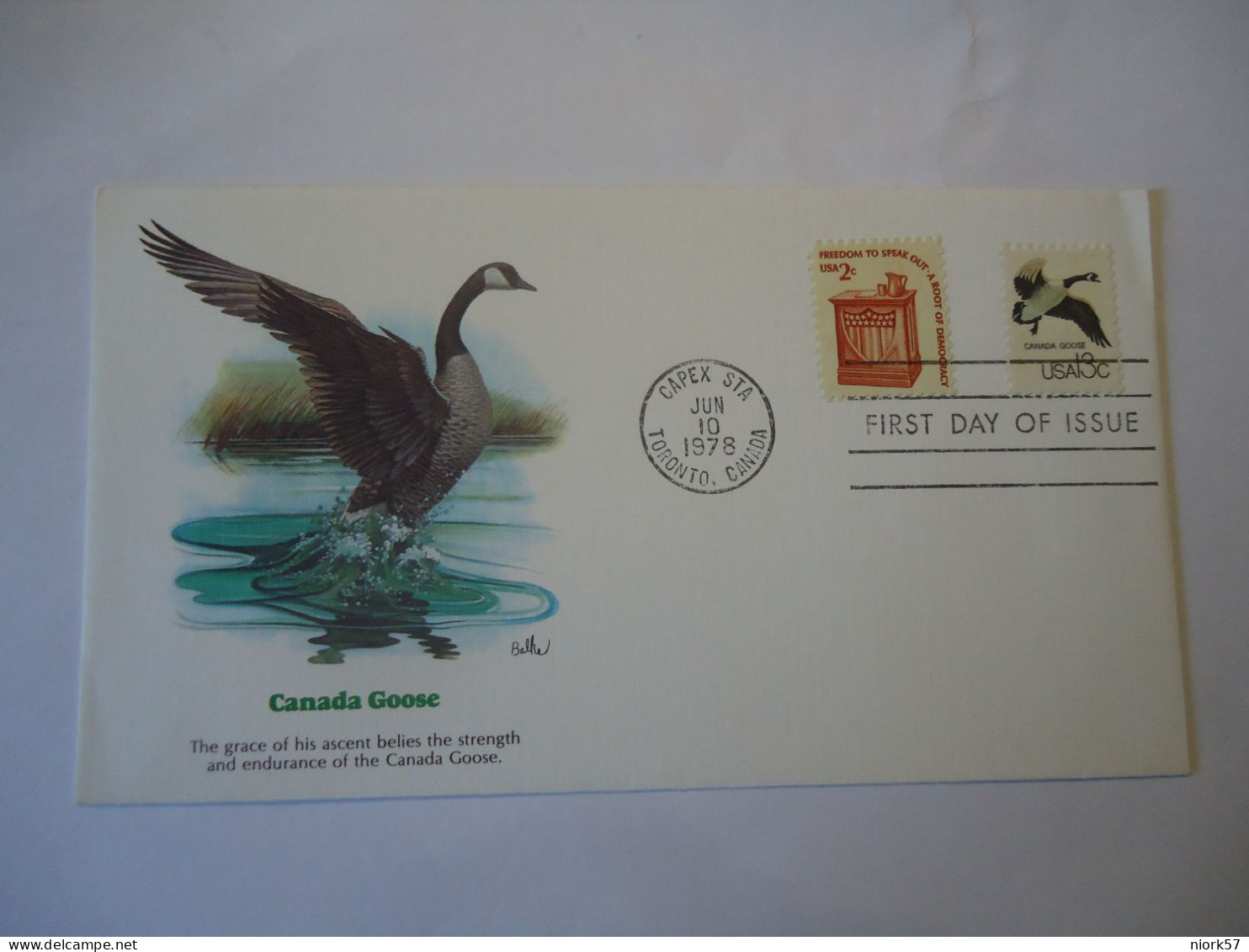 UNITED  STATES    COVER 1978   CANADA  GOOSE  BIRDS   BIRD DUCK - Ducks