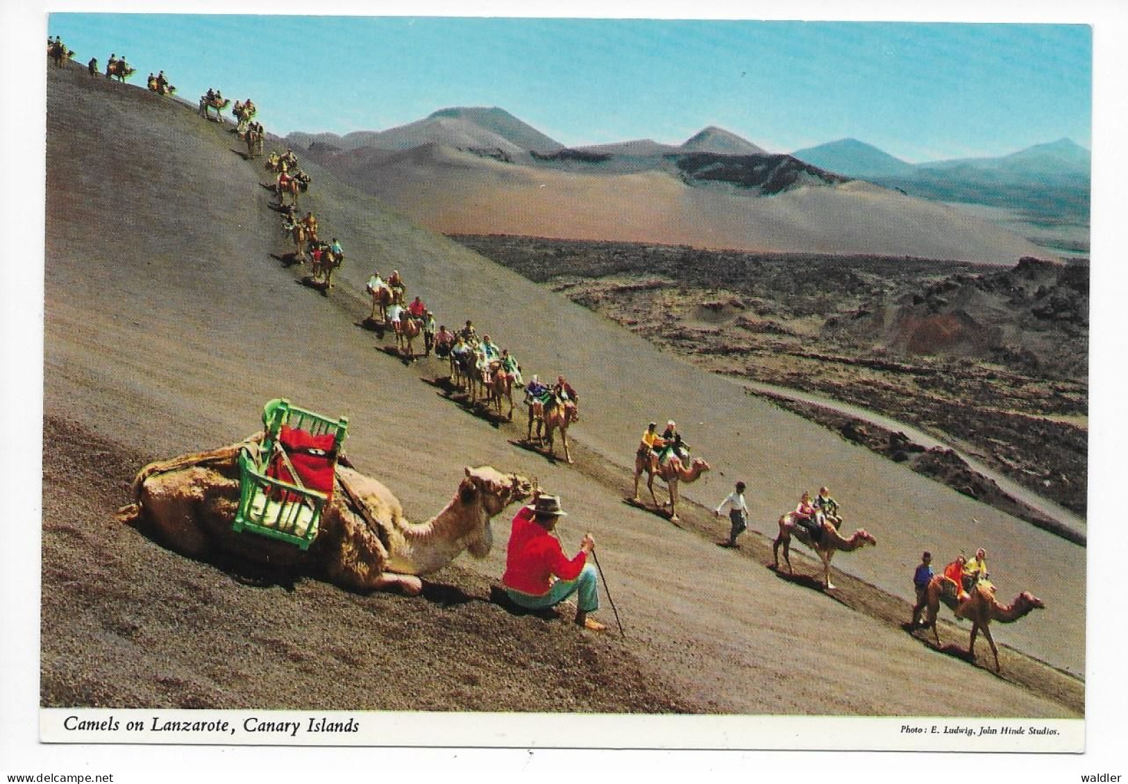 LANZAROTE  --  CAMELS  1983 - Lanzarote