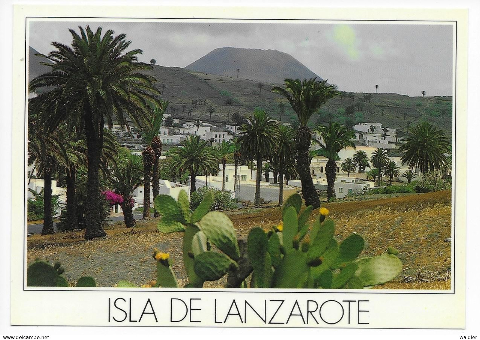 LANZAROTE  --  HARIA  1987 - Lanzarote