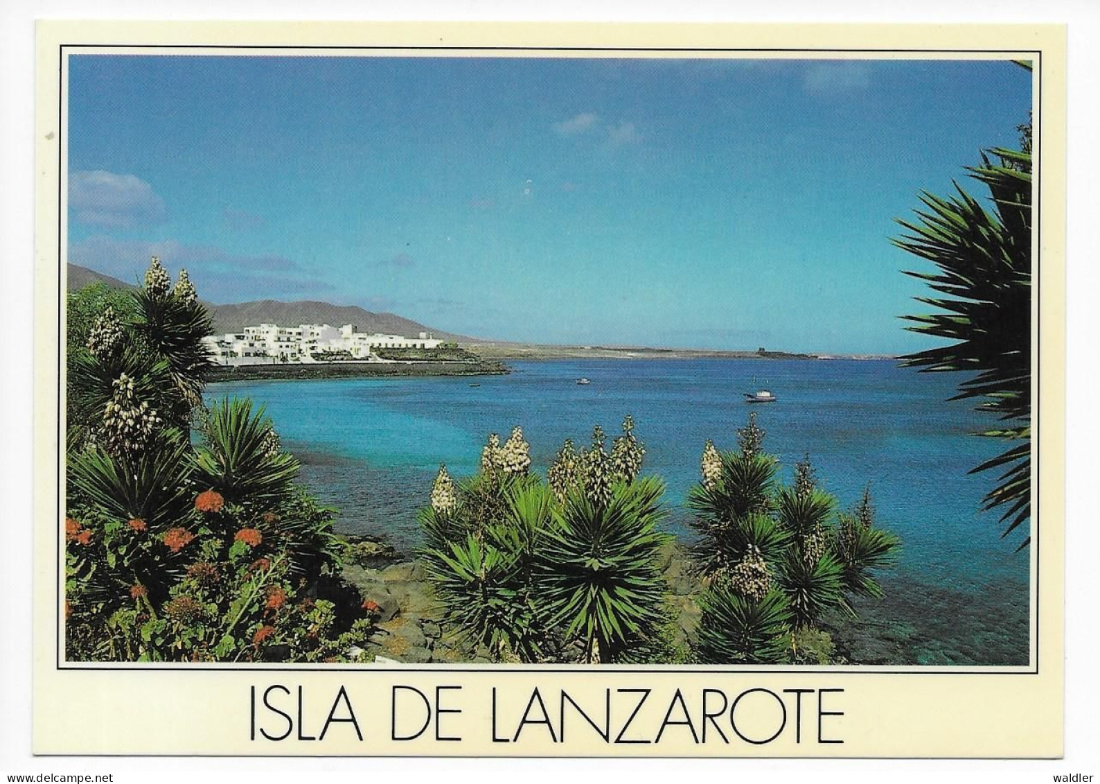 LANZAROTE  --  PLAYA BLANCA  1986 - Lanzarote