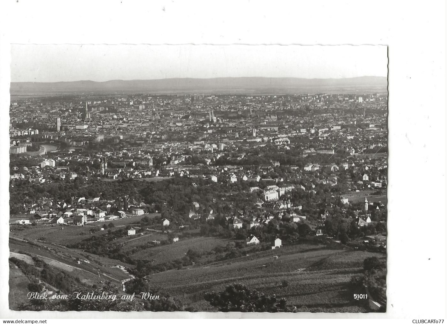 Wien (Autriche, Wien) ) : Blick General Vom Kahlenberg Im 1950 GF. - Autres & Non Classés