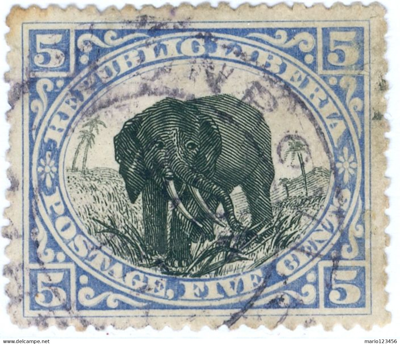 LIBERIA, FAUNA, ELEFANTE, 1905, FRANCOBOLLI USATI Mi:LR 57b, Scott:LR 62, Yt:LR 83 - Liberia