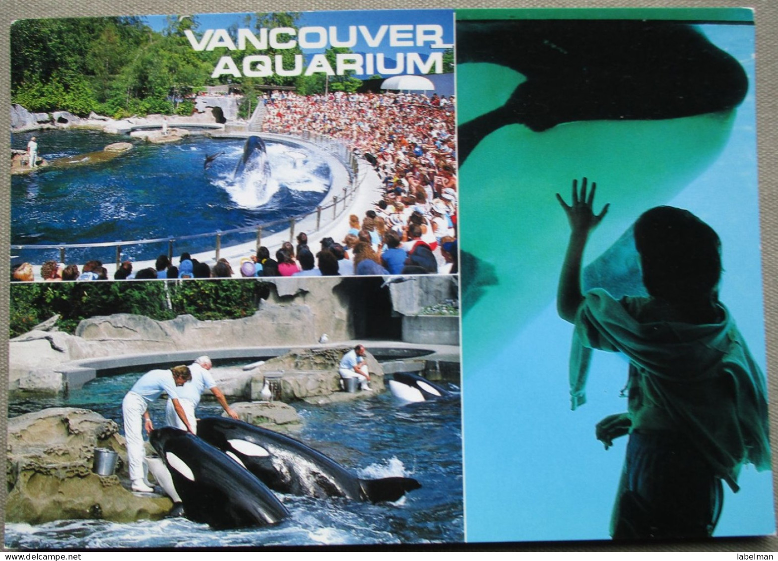 CANADA BRITISH COLUMBIA VANCOUVER AQUARIUM KARTE CARD POSTKARTE ANSICHTSKARTE CARTOLINA POSTCARD CARTE POSTALE - Huntsville