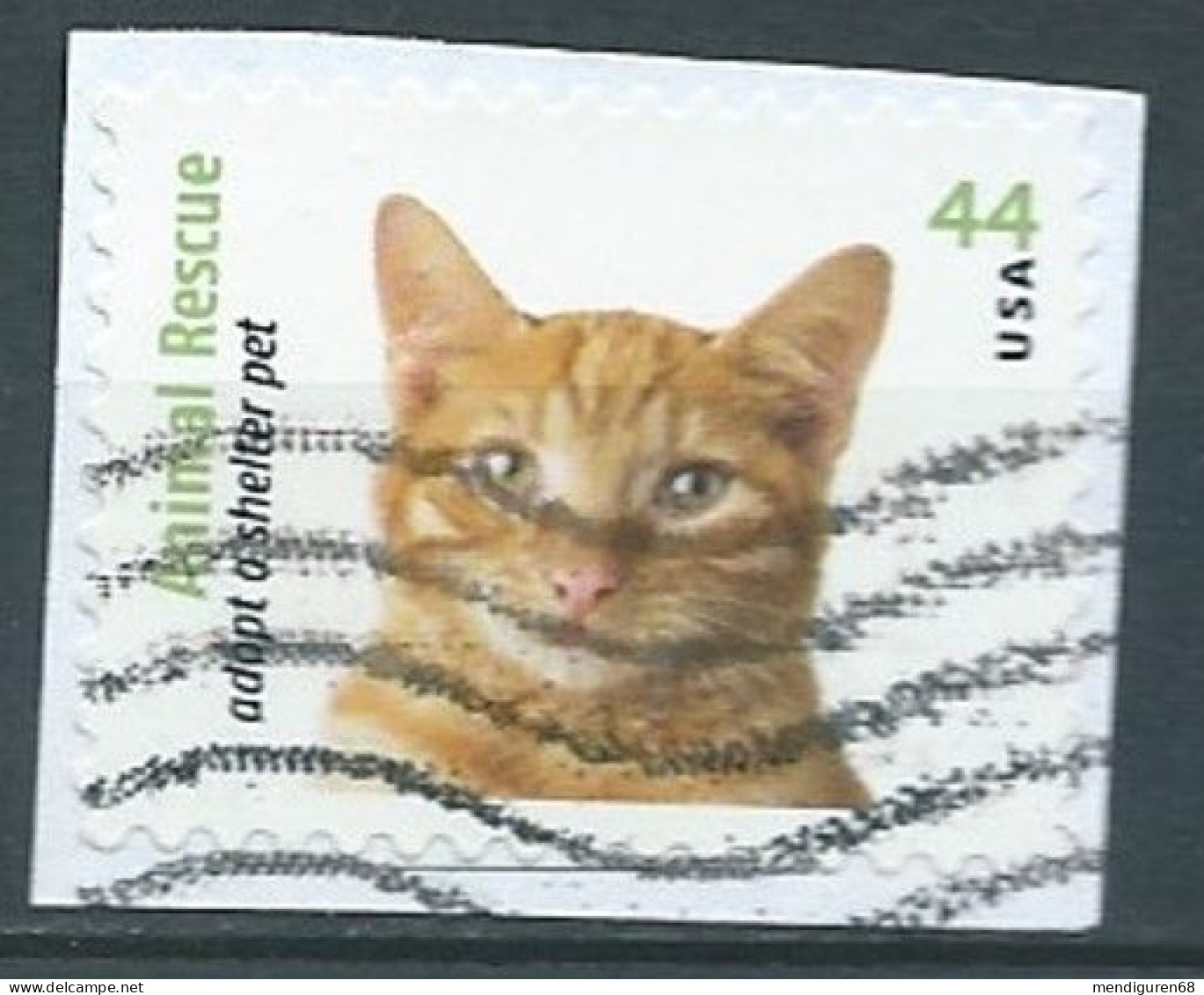 VERINIGTE STAATEN ETATS UNIS USA 2010 ANIMAL RESCUE:ORANGE TABBY CAT 44¢  USED ON PAPER SC 4460 YT 4281 MI 4620 SG 5047 - Gebruikt