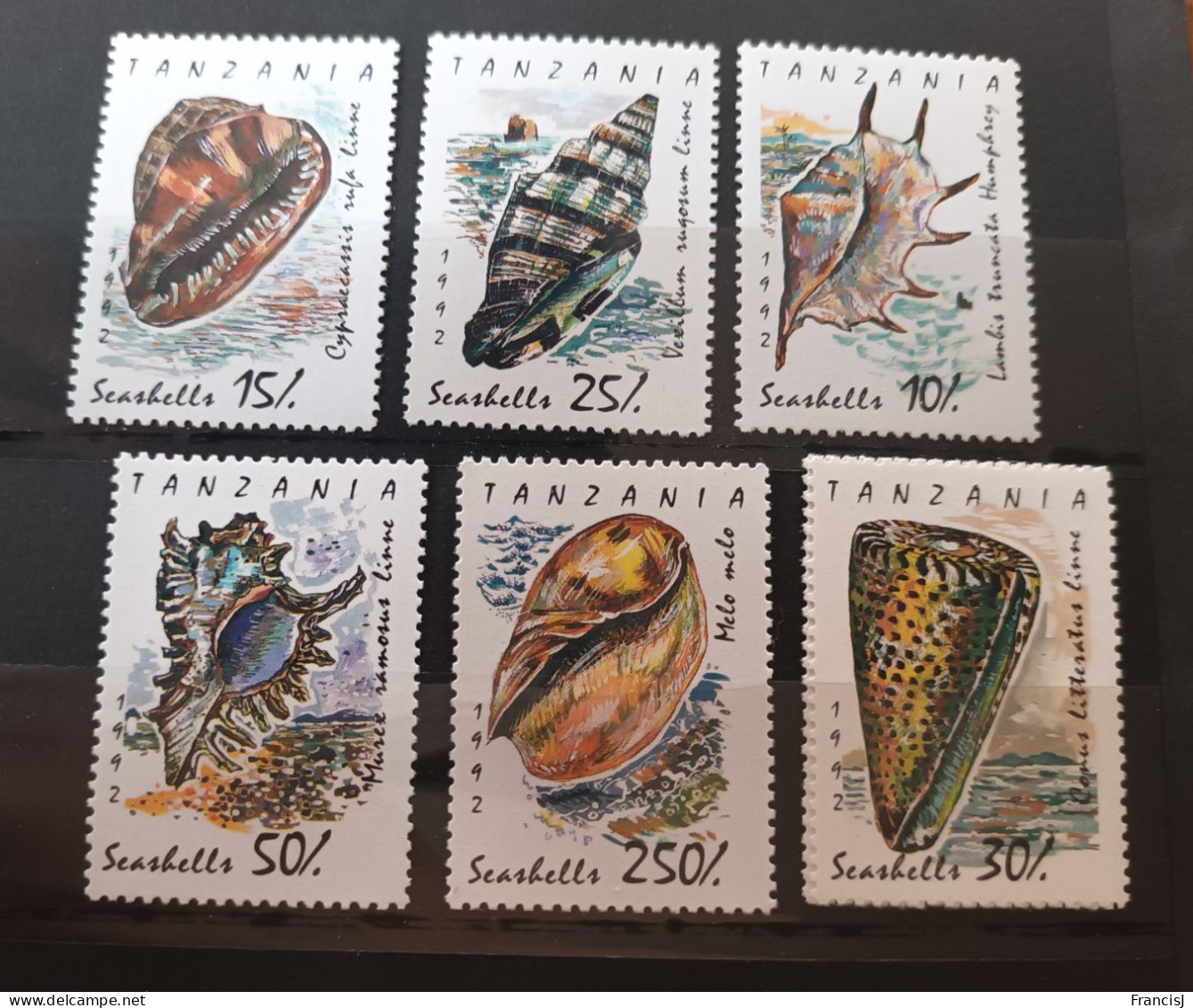 Escargot Escargots Coquillages Série De 6 Timbres Tanzania - Tanzanie (1964-...)