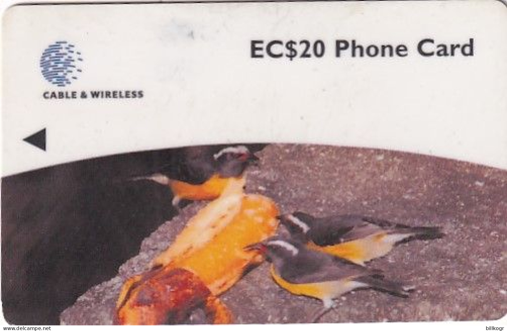 DOMINICA(GPT) - Bananaquit, CN : 248CDMB/B, Tirage %14000, 04/99, Used - Dominica